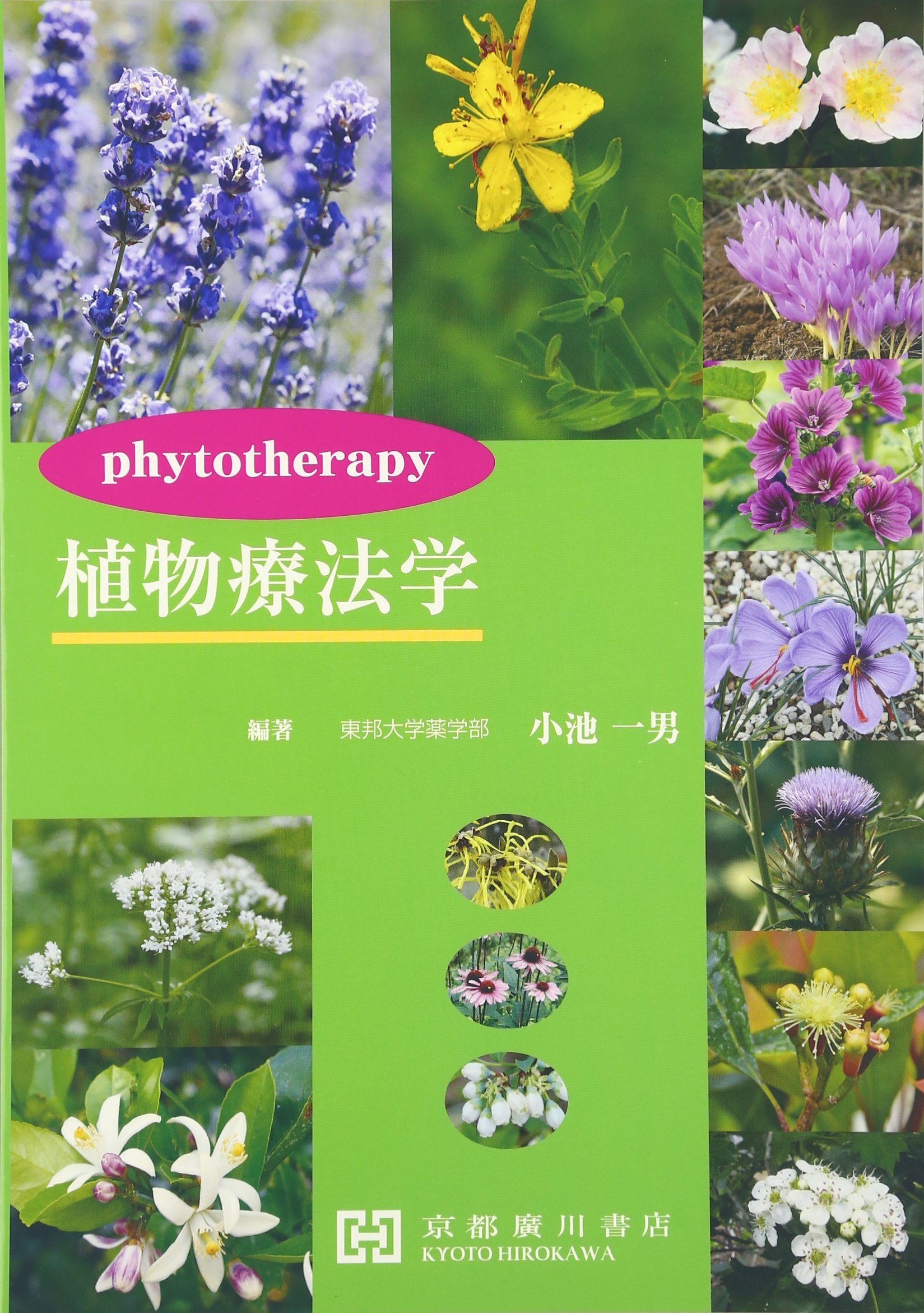 植物療法学 小池一男 本 通販 Amazon