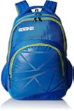 american tourister flint