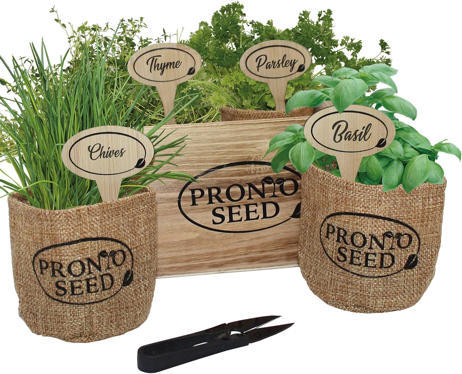 Premium Kitchen Herb Grow Your Own Kit Grow 5 Varieties from Seed Gift ...