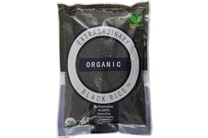 Bgreen Organic Black Rice, 16 Ounce