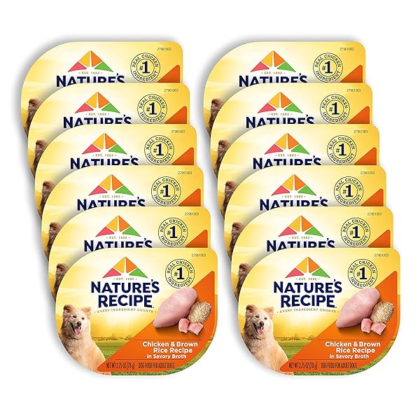NATURE’S RECIPE WET DOG FOOD, CHICKEN IN BROTH RECIPE, 2.75 OUNCE CUP (PACK OF 12) PACKAGE MAY VARY