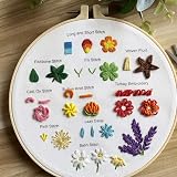 Myfelicity Embroidery Beginners Stitch Practice Kit 3 Starter Kits Learn 30 view 8