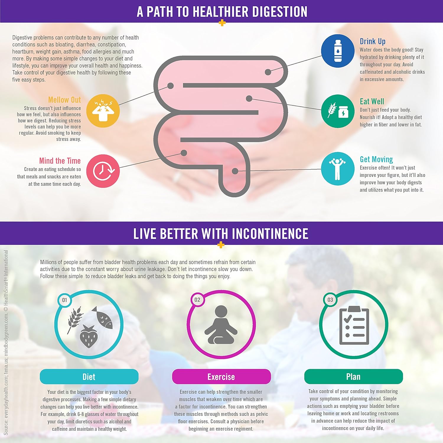 DMI Waterproof Furniture and Bed Protector Reusable Pad, 36 x 52 Inches, Green: Health & Personal Care