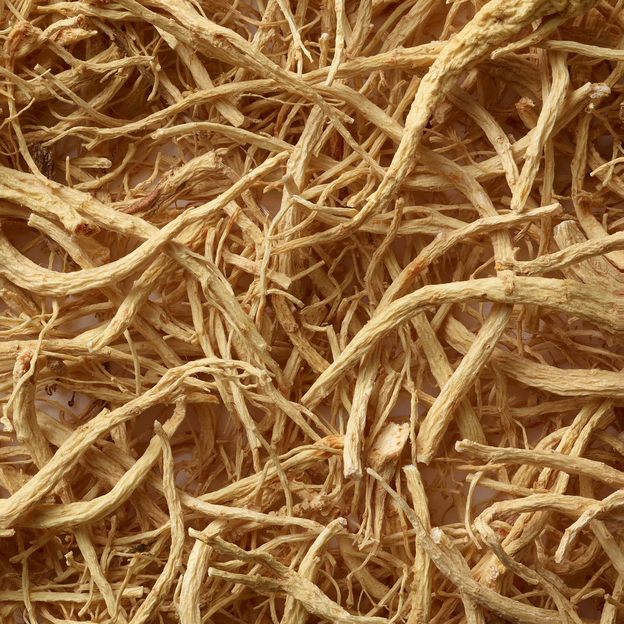 RALPH LAUREN FRAGRANCES - Polo Blue - Eau de Parfum - Men's Cologne - Aquatic & Fresh - With Citrus, Bergamot, and Vetiver - Medium Intensity