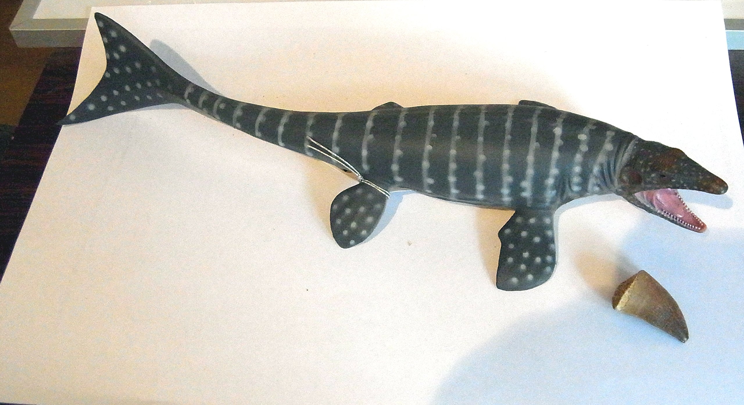 mosasaurus collecta
