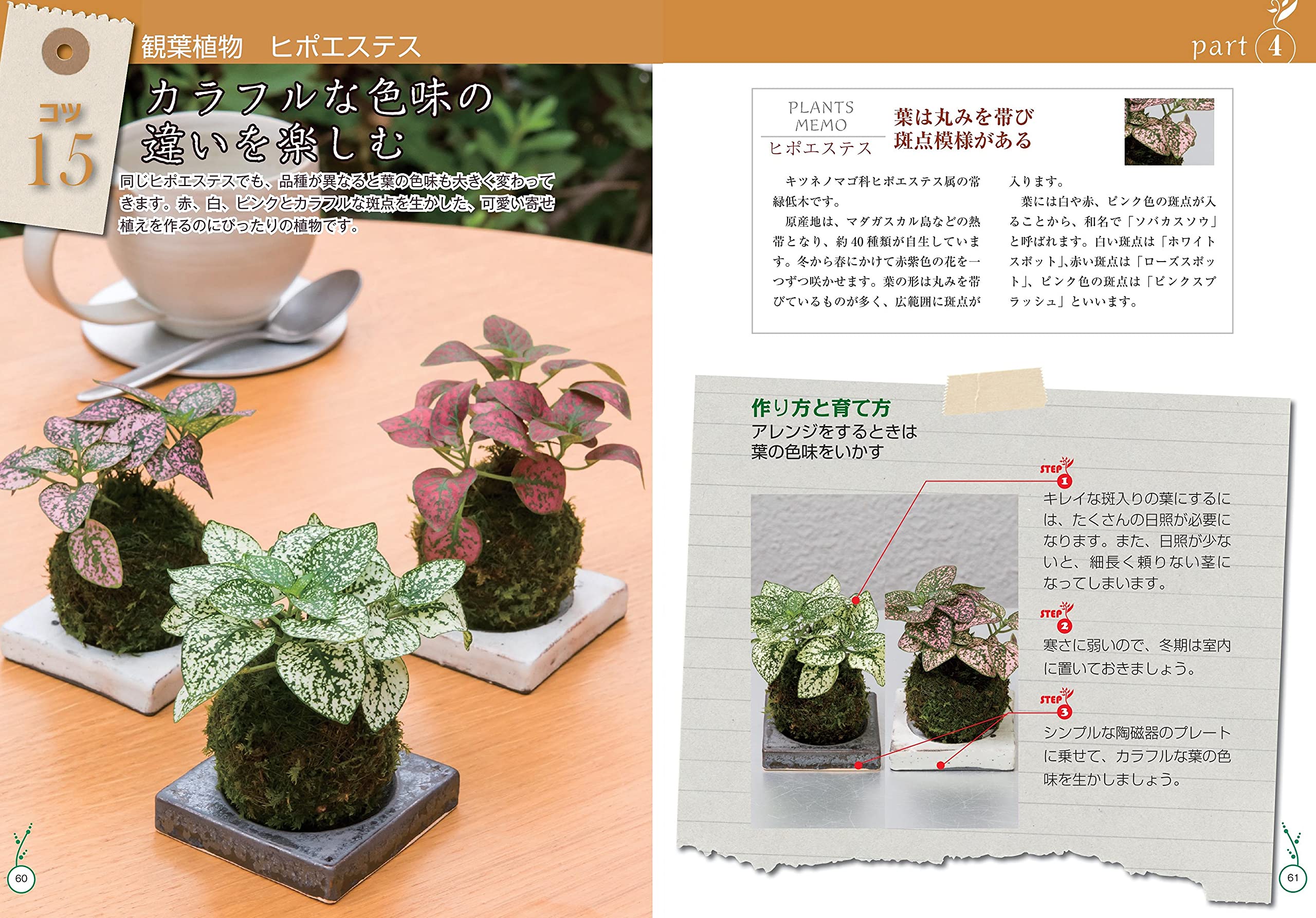 アレンジをたのしむ 苔玉と苔の本 育て方から作り方 飾り方まで 新版 コツがわかる本 Amazon Com Books