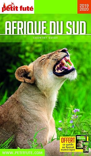 Download Petit Futé Afrique du sud PDF