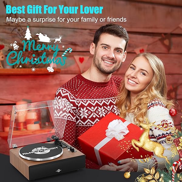 VINYL RECORD PLAYER WITH SPEAKERS,HIGH FIDELITY TURNTABLES FOR VINYL RECORDS WITH MAGNETIC CARTRIDGE AT-3600L,BLUETOOTH PLAYBACK BUILT-IN PHONO PREAMP,BELT DRIVE 2-SPEED (HP-H2410)