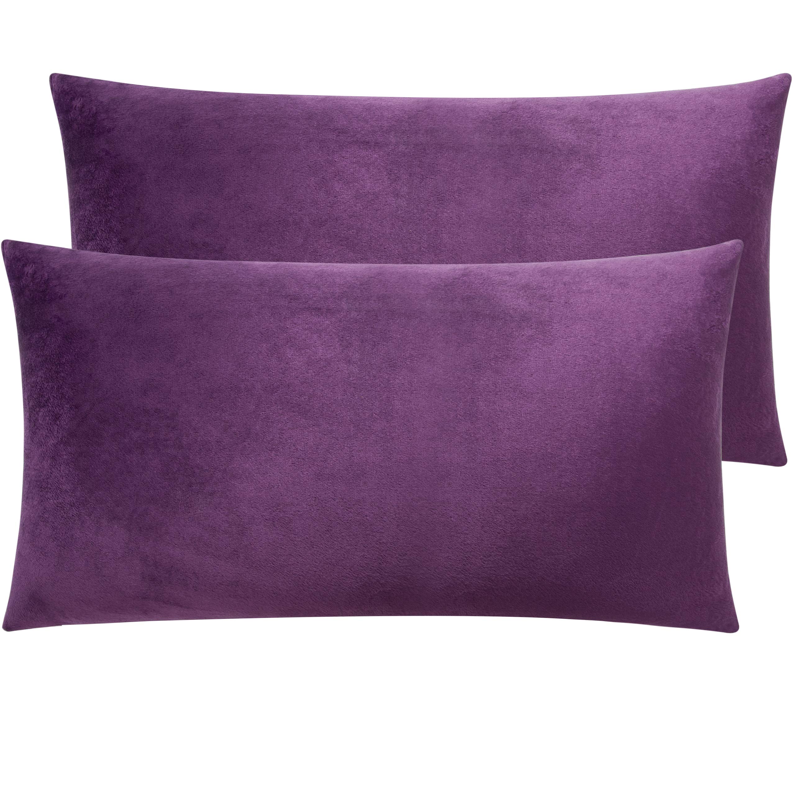 NTBAY 2 Pack Zippered Velvet King Pillowcases, Super Soft and Cozy Luxury Fuzzy Flannel Pillow Cases with Zipper, 50x90 cm, Purple