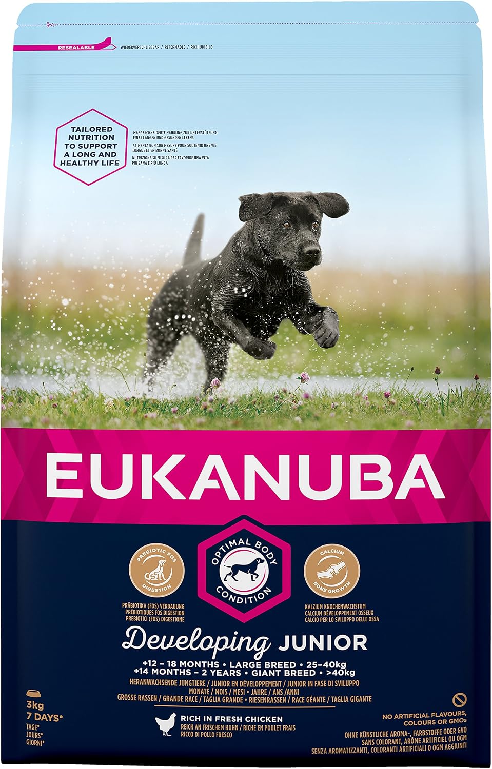 Eukanuba Complete Dry Dog Food for Junior Puppy Large and Giant Breeds with Fresh Chicken 3 kg, Transparent, 3 kg (Pack of 1)