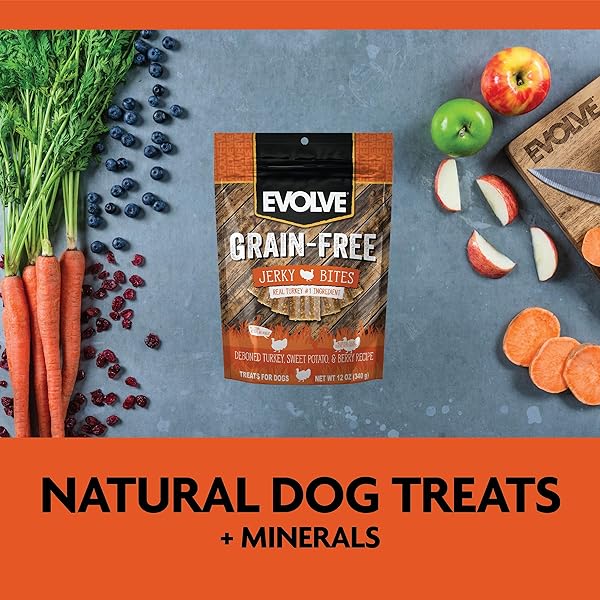 EVOLVE GRAIN FREE TURKEY, PEA, AND BERRY JERKY BITES DOG TREATS