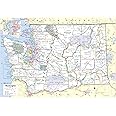 Cool Owl Maps Washington State Wall Map Large Print Poster Rolled (Laminated 34"x24")