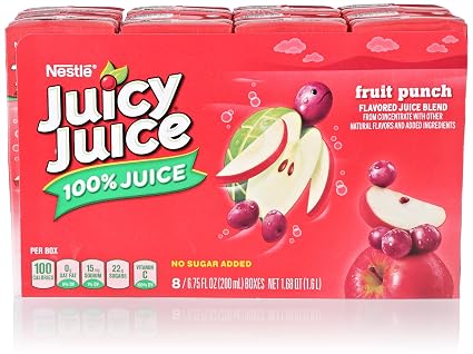 Juicy Juice Fruit Punch (028000521455)