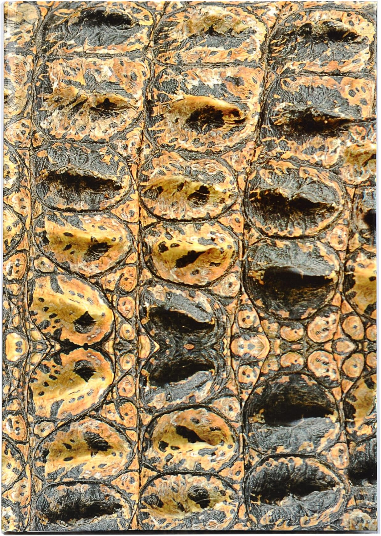Parax Paper A5 Crocodile Print Luxury Notebook
