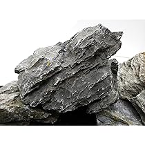 seiryu stone in nature