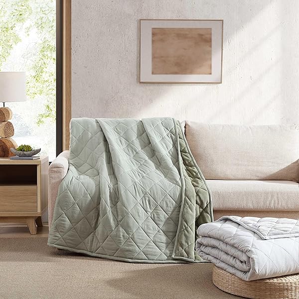 EDDIE BAUER – QUEEN SIZE BLANKET, SOFT & REVERSIBLE PLUSH BED BLANKET, BRUSHED FOR EXTRA SOFTNESS WITH A PLUSH SMOOTH TEXTURE, THROW BLANKET FOR COUCH OR BED (CLASSIC SOLID GREY)