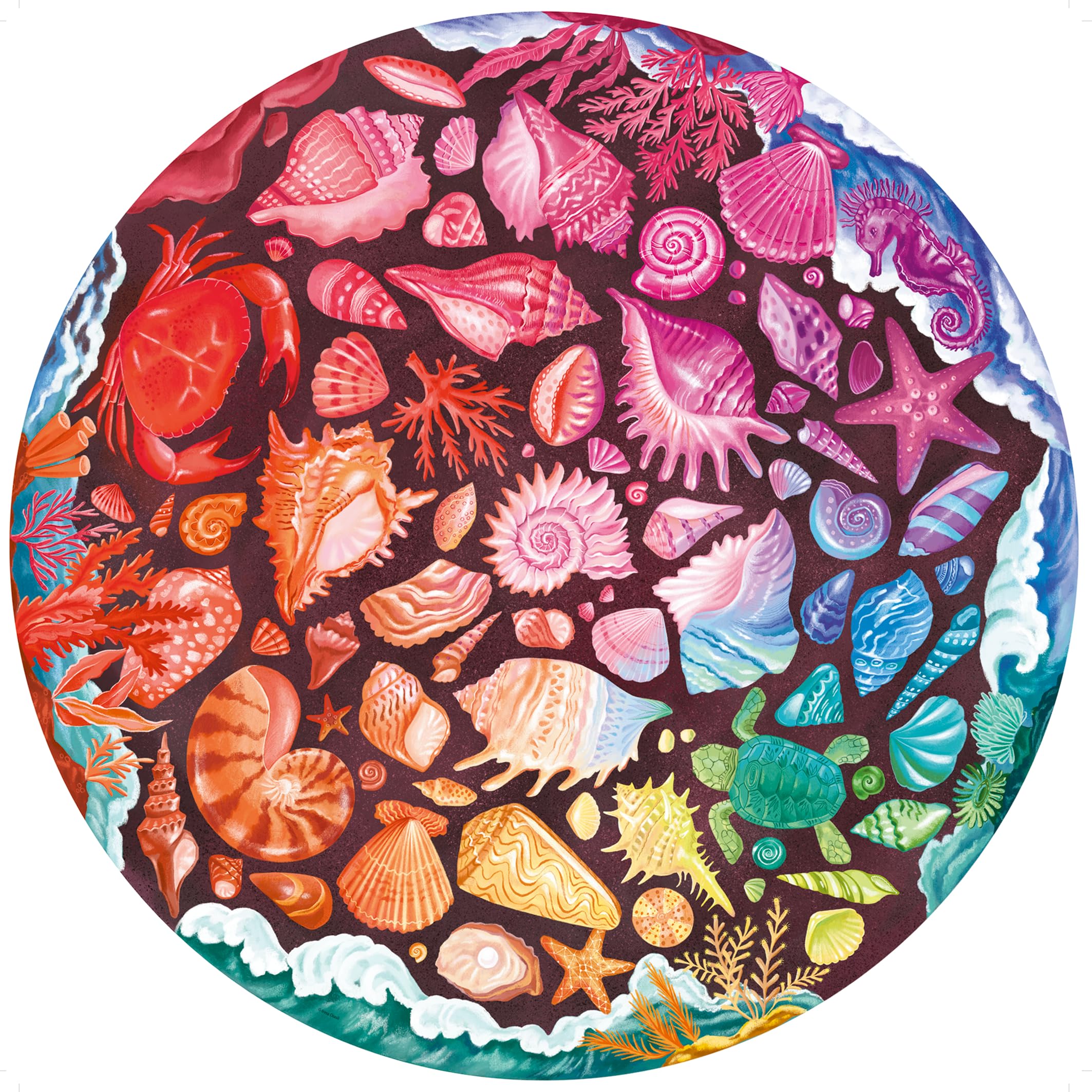 Ravensburger Seashells - 500 Piece Circular Shaped Jigsaw Puzzle for Adults and Kids Age 10 Years +