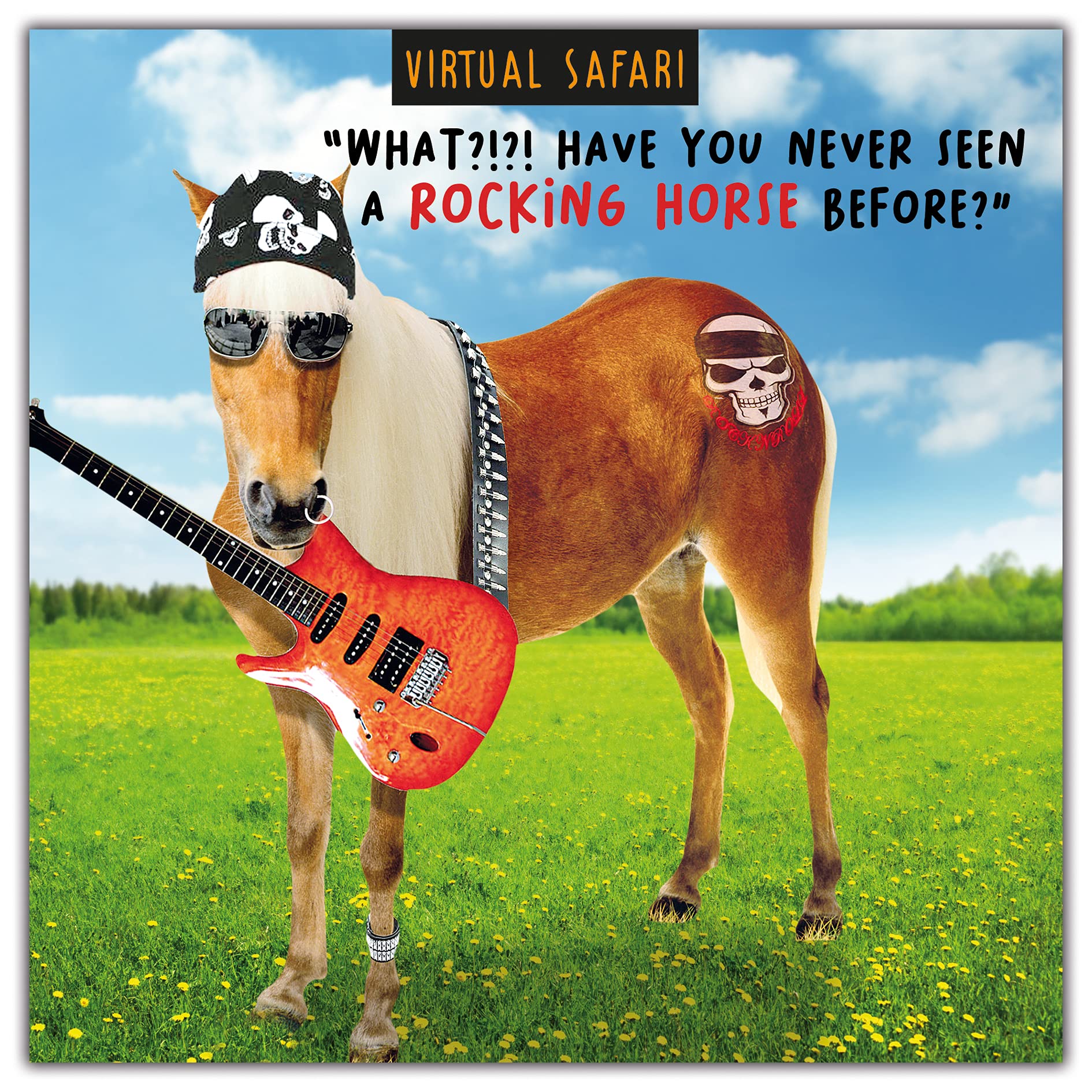 Virtual Safari Funny Birthday Card For Men, Happy Birthday Man, What?!?! Have you Never Seen a Rocking Horse Before?... Multi-Coloured
