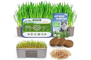 PLANTMEW Cat Grass Kit for Indoor Cats - 3 Pack | Organic Wheat Grass Seeds, Grows in 7 Days | Digestive Health & Reduces Hairball | Gift for Cat Lovers with BPA-Free Planters, Soil & Non-GMO Seeds