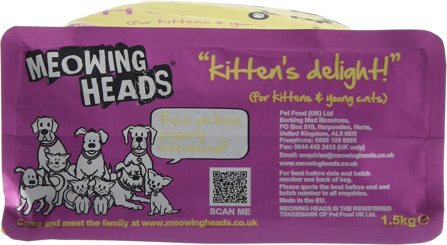 meowing heads kitten