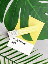 Q+A Grapefruit Multi-Balm Jojoba Cocoa Butter Lip Cuticle Dry Skin 15ml view 7
