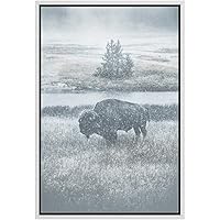 SIGNWIN Framed Canvas Wall Art Blue Wash Out Bison in The Grassland with Snow Nature Wilderness Photography Realism Modern Scenic Relax/Calm Duotone for Living Room, Bedroom, Office - 16