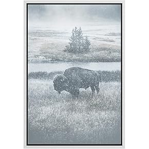 SIGNWIN Framed Canvas Wall Art Blue Wash Out...