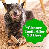 Greenies Original Large Dental Dog Treats 12 oz 8-count Pack view 5