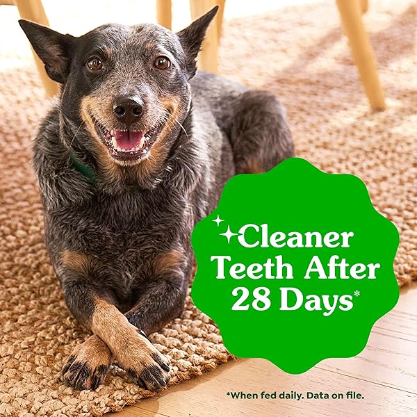GREENIES DOG TREATS VETERINARIAN-RECOMMENDED NATURAL DENTAL TREATS FOR DOGS, TEENIE SIZE, SWEET POTATO FLAVOR, 36 OZ. PACK, 130 COUNT