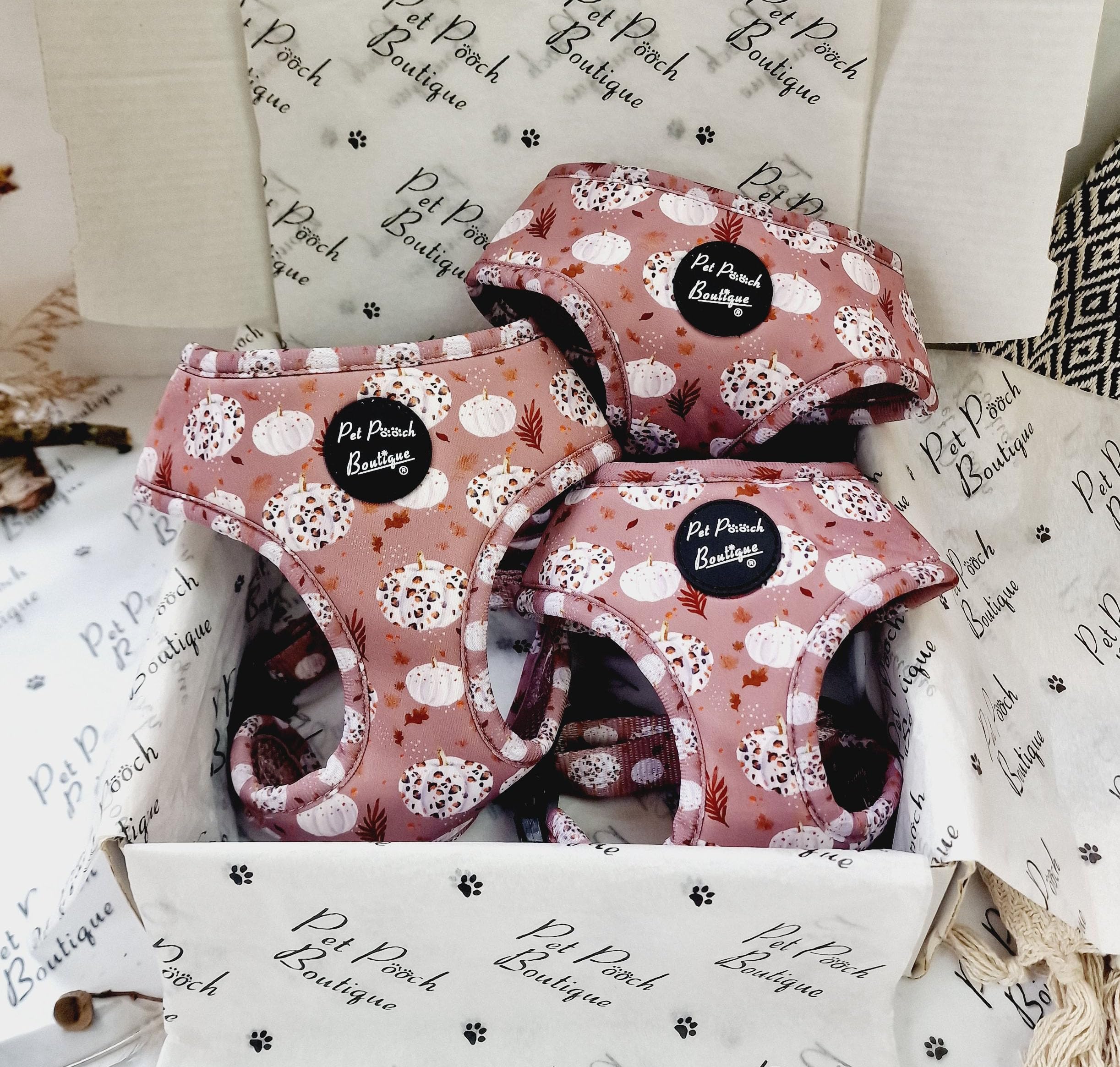 Pumpkin Latte Dog Harness XS