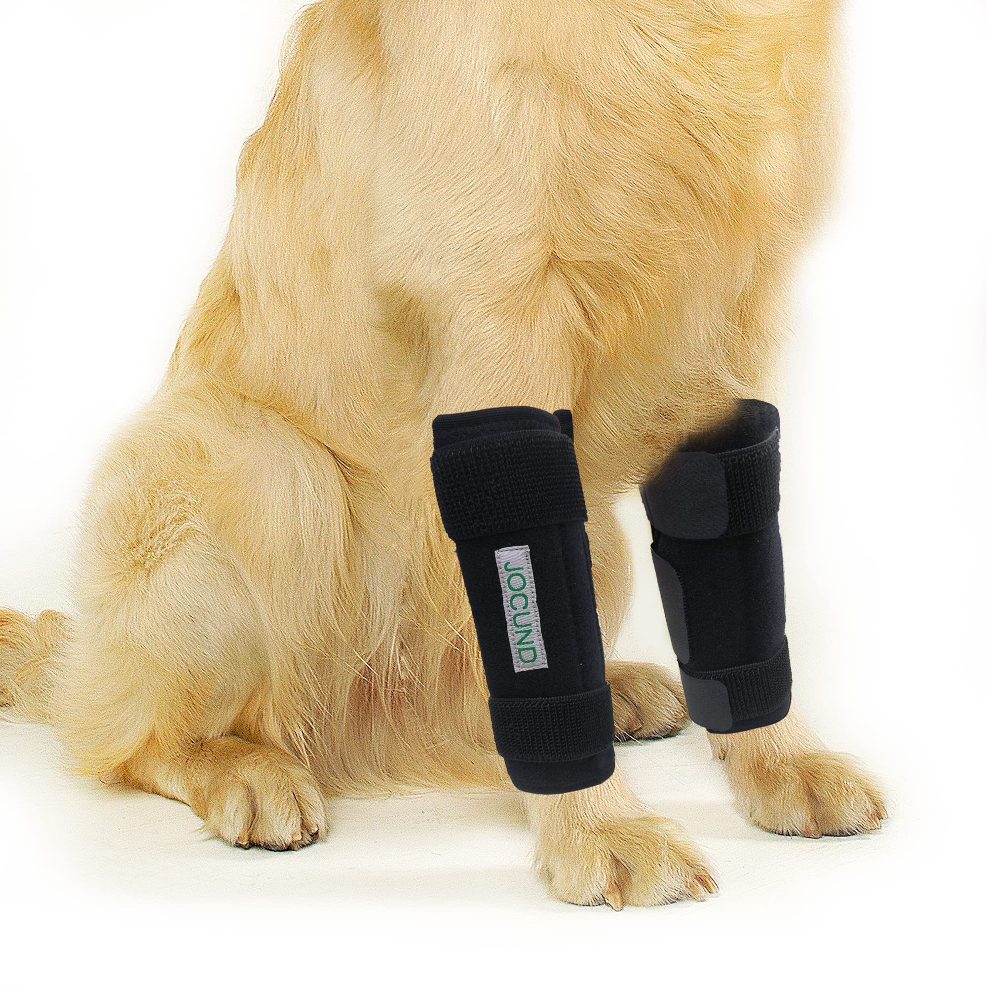 Photo 1 of JOCUND Dog Front Leg Brace, Pair of Dog Leg Brace with Metal Strips, Canine Front Leg Hock Wrap Sleeve for Carpal Support, Protects Wounds Brace Heals and Prevents Injuries and Sprains (L/XL)