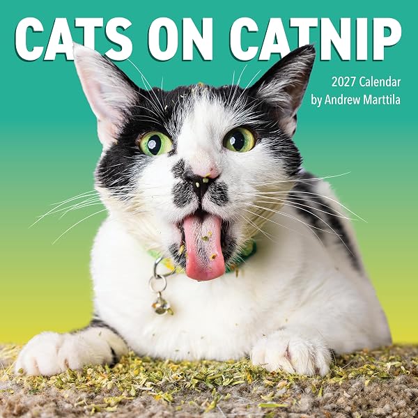 It's a Cat's Life: Anitra Frazier, Norma Eckroate, Cris Arbo