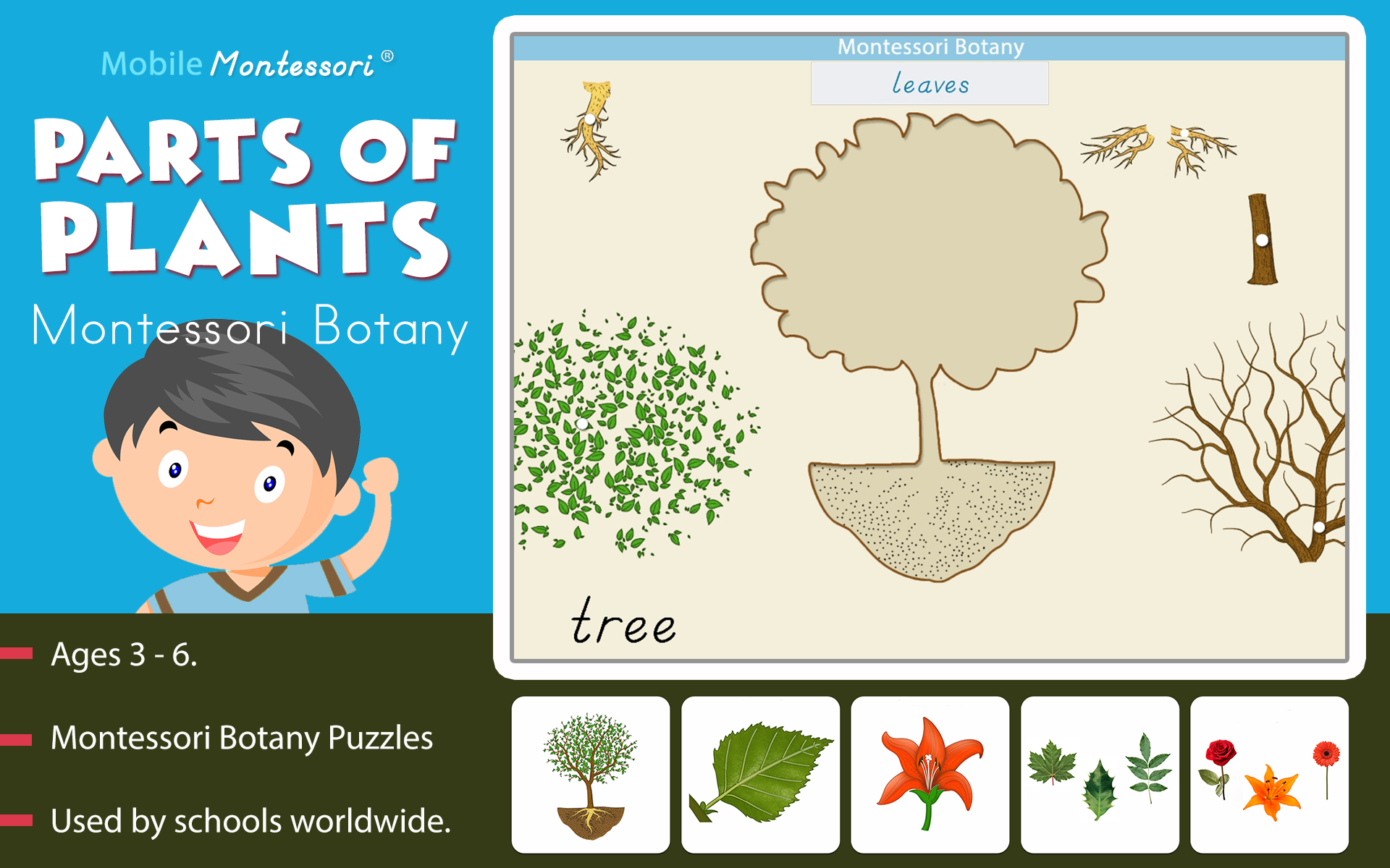 Montessori Botany Parts of for Android