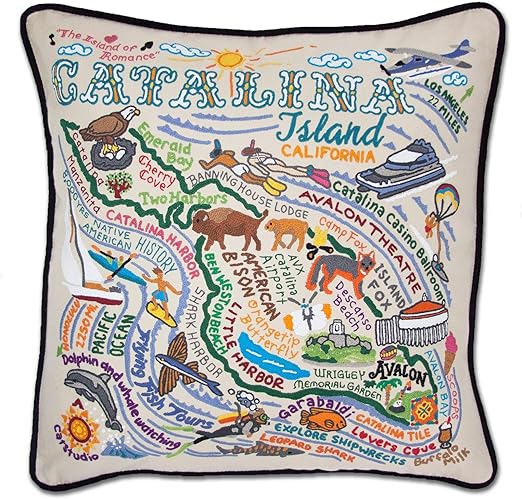 Amazon Com Catstudio Catalina Embroidered Decorative Throw Pillow