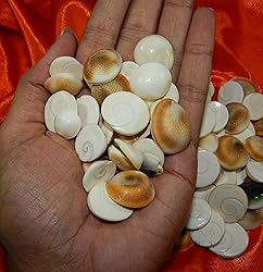 Takething Best Quality Gomti Chakra 21piece Shiva
