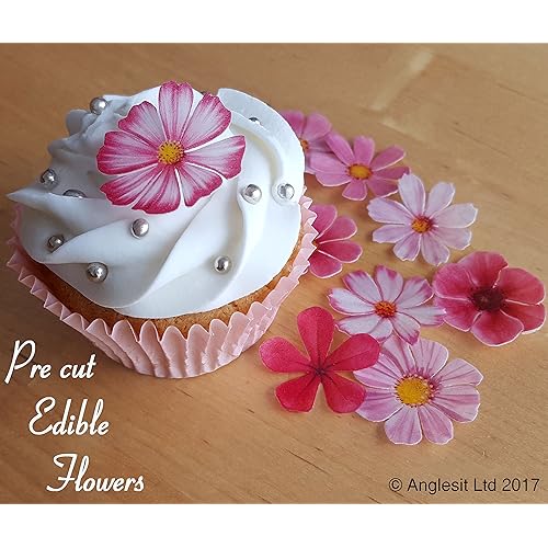 Edible Flower Cake Decorations Amazon.co.uk Edible Flower Cake Decorations Amazon.co.uk