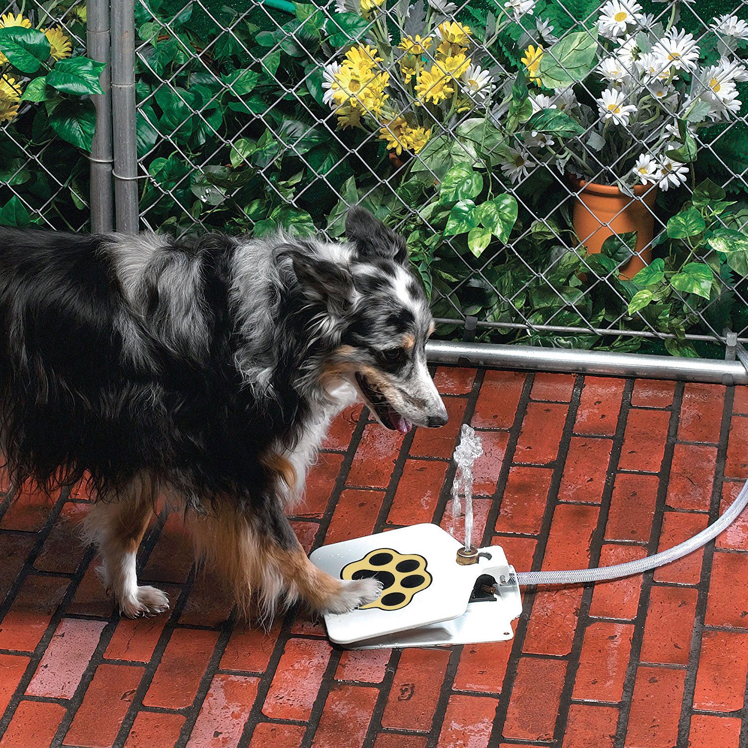 Pet Supplies Dog Pet Water Fountain API Doggie Fountain Pet Self