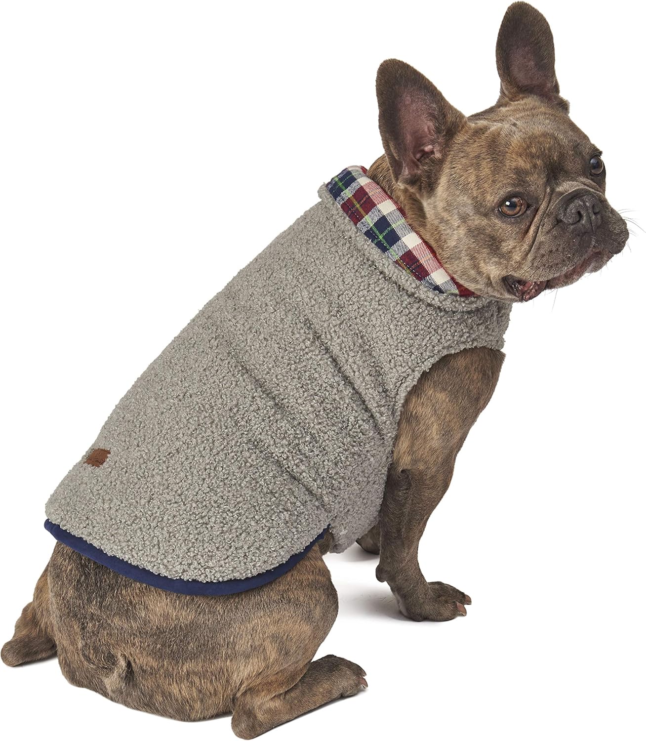 australian cattle dogs as pets