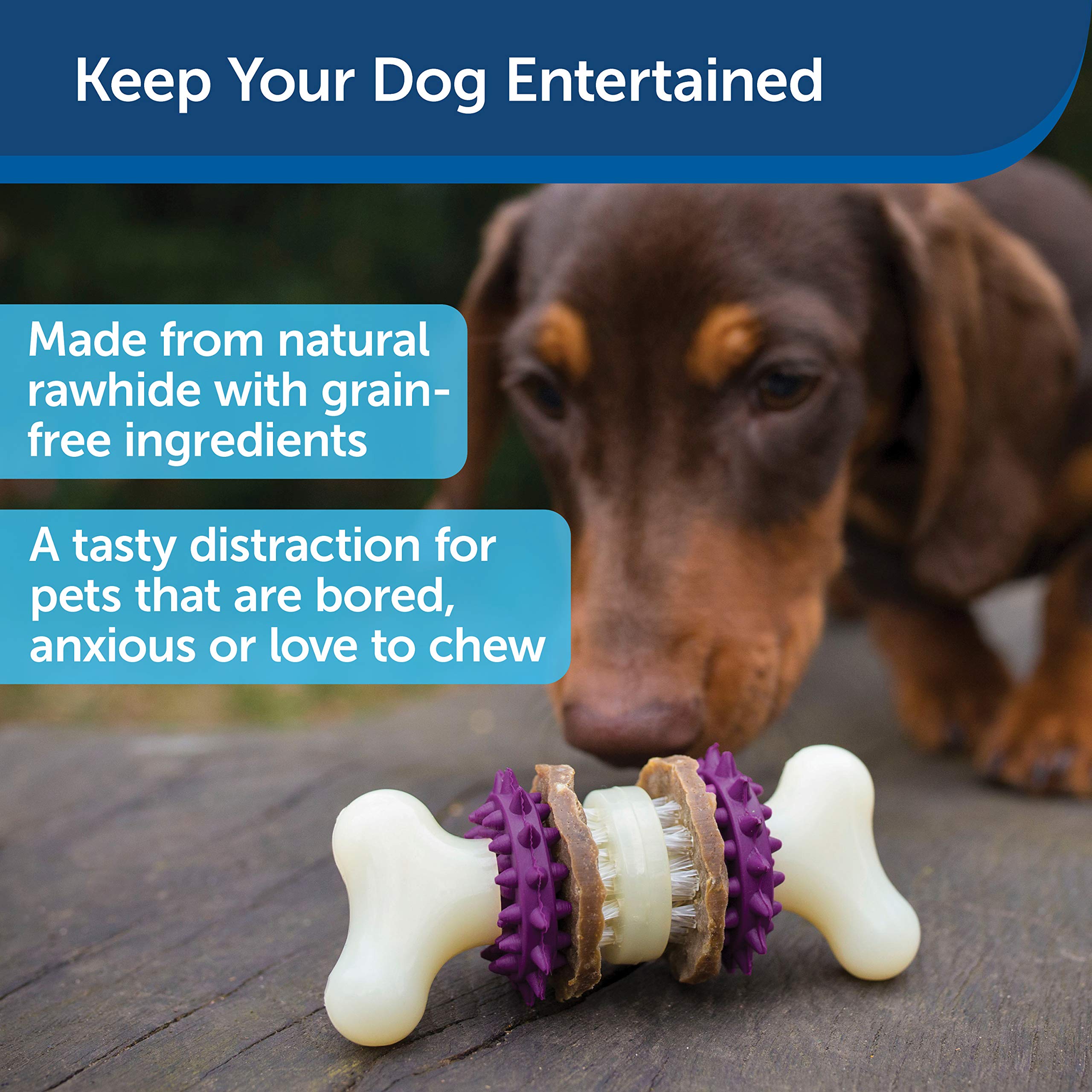 PetSafe® Busy Buddy® Bristle Bone®, Medium, Helps Keep Your Dog's Teeth Clean, Long-Lasting Playtime
