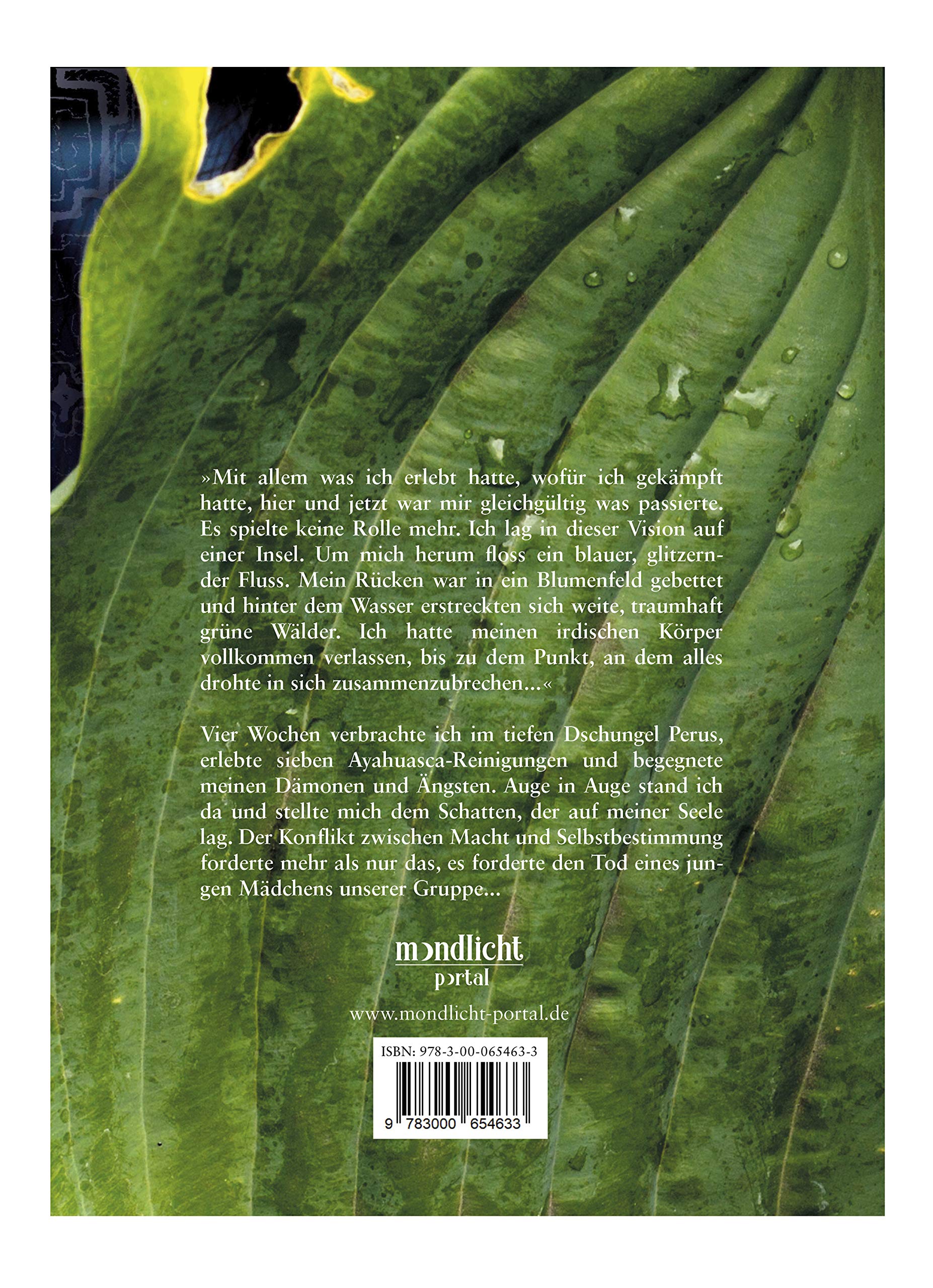 Tur Zu Vergessenen Dimensionen Ayahuasca Im Dschungel Perus Erfahrungen Zwischen Leben Und Tod Amazon De Bucher