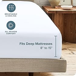 Bare Home 2-Pack Fitted Bottom Sheets Queen