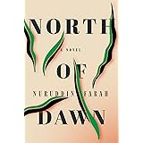 North of Dawn: A Novel