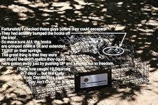 Review Image by Rocket Scientist Rocket Scientist
