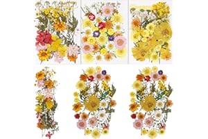 BIHRTC 100PCS Pressed Flowers for Resin Natural Real Pressed Flowers Orange Dried Flowers Assorted Dry Leaves Herbs Kits for Scrapbooking DIY Candle Accessories Jewelry Crafts Making