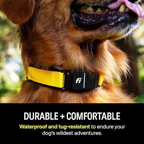 Fi Series Smart Dog Collar GPS Dog Tracker and Activity Fitness  Monitor, Waterproof, LED Light, Escape A