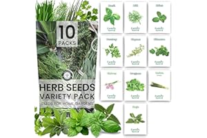Herb Seeds | 10 Invidiual Packs | 2025 Season | Non-GMO | Mint, Parsley, Basil, Thyme & More! | for Planting Indoor & Outdoor | by Family Sown