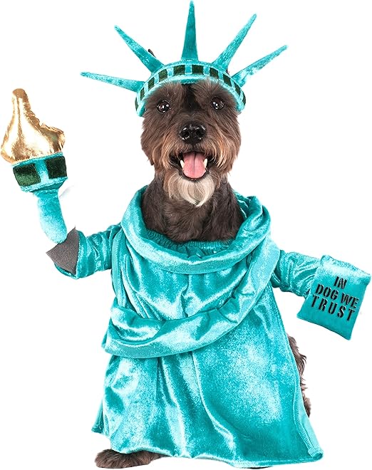 Amazon.com : Statue of Liberty Pet Costume, Large : Pet Supplies