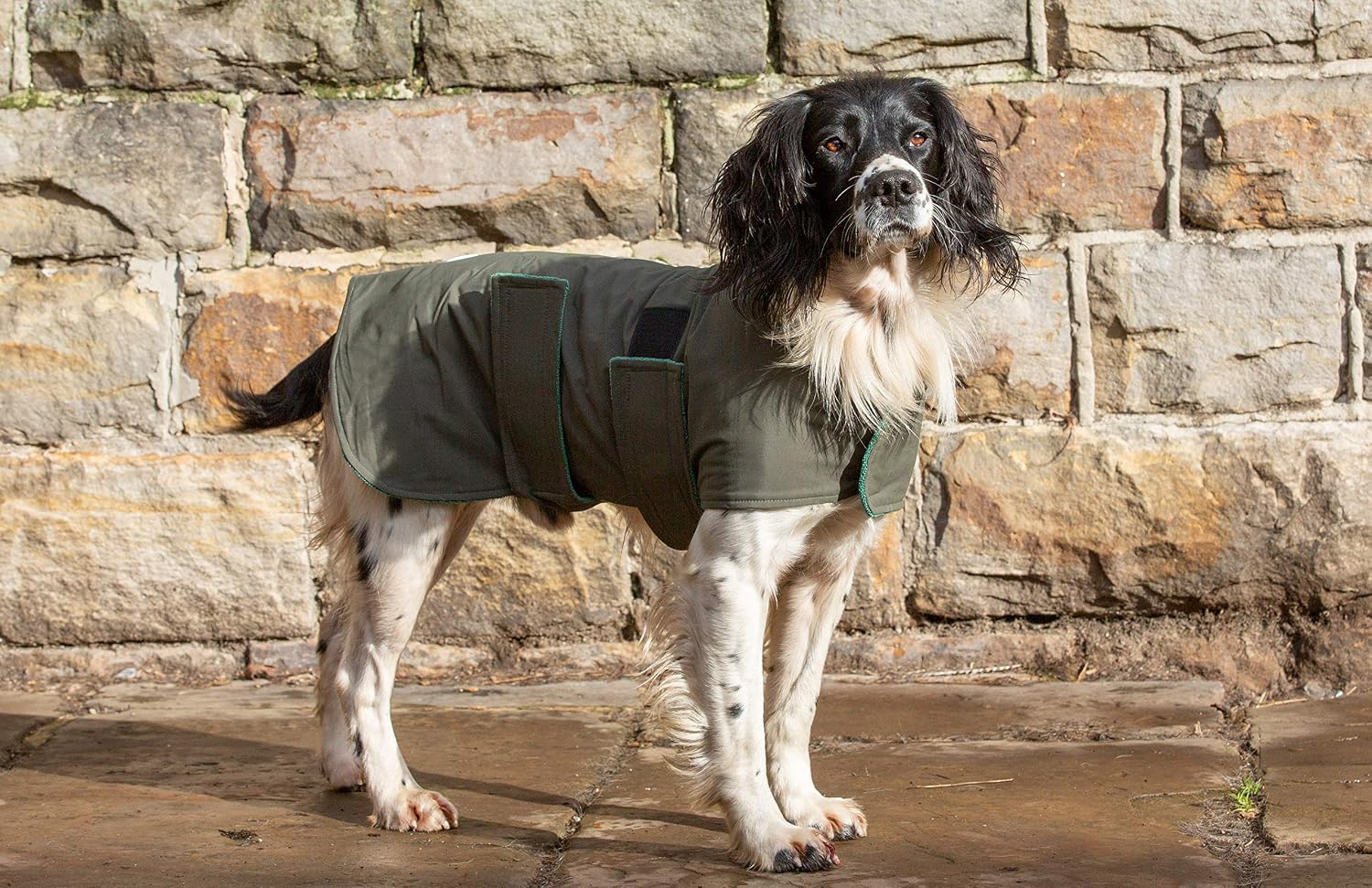 Dog & Field 2-in-1 Waterproof Dog Coat, Green. Microfiber Lined Dog Drying Coat