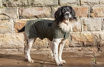 dog field jacket