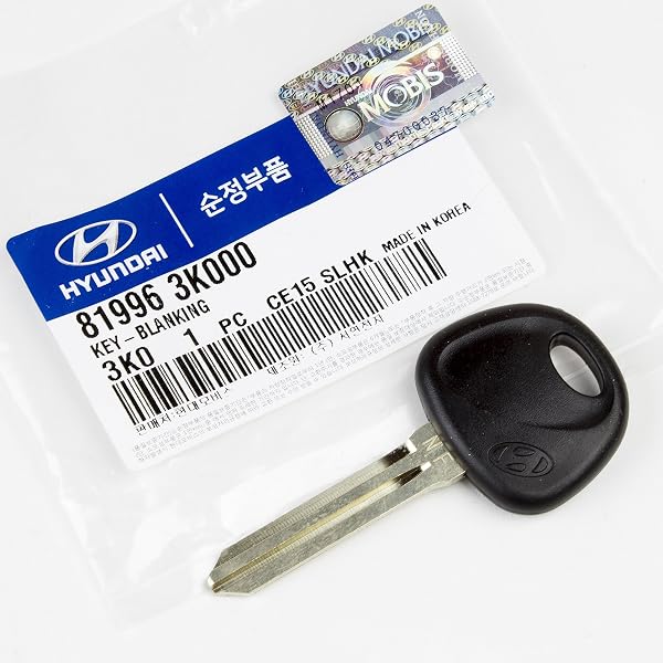 Amazon.com: Genuine OEM 81996-38000 Blanking Key / 8199638000 for 